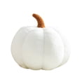 thumbnail image 1 of PENGXIANG Pumpkin Pillow Plush Pillow Fun Simulation Sofa Cushions, 1 of 22