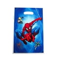 thumbnail image 4 of 10/50 bolsas de regalo de Spiderman, bolsa de dulces de princesa Frozen, bolsas de botín para fiestas infantiles, suministros de decoración para fiestas de cumpleaños de niños y niñas, 4 of 5