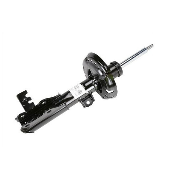Front Driver Side Suspension Strut