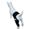 thumbnail image 5 of Dog Hip Knee Leg Brace Adjustable Dog ACL Brace for Back Hind Rear Legs Torn Tear Hip Dysplasia Arthritis Pet Knee Protector-S, 5 of 8