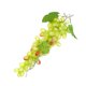 thumbnail image 4 of Uva artificial simulación fruta fotografía instantánea uva falsa boceto práctica utilería, verde sidaley HA8461-02B, 4 of 6
