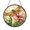 Acrylic 3.5 Inch, variant on Amber Winged Dragonfly And Pink Carnation Suncatcher Round Panel Decor