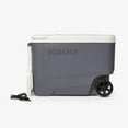 thumbnail image 6 of Versatemp™ 35 Qt Wheeled Electric Cooler, 6 of 7
