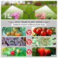 thumbnail image 3 of Plant Grow Light Beah Full Spectrum, paquete de 2, 10 niveles regulables, 3 of 6