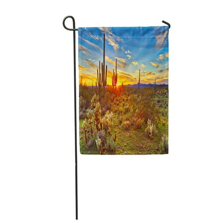 SIDONKU Cactus Saguaros at Sunset in Sonoran Desert Near Phoenix Garden Flag Decorative Flag House Banner 28x40