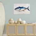 thumbnail image 3 of Stupell Industries Tuna Fish Sea Life Animals Painting Wrapped Canvas Art Print Wall Art, 36 x 24, 3 of 8