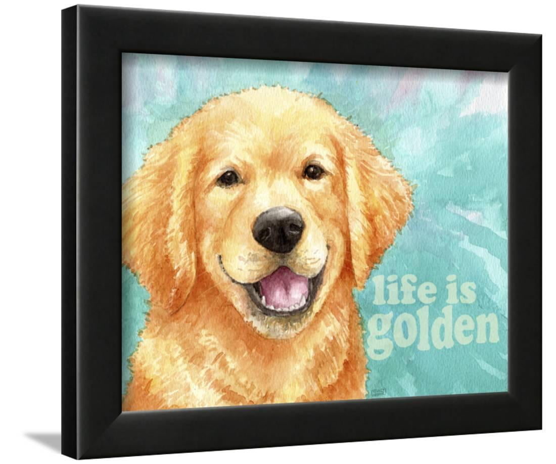 golden retriever wall art
