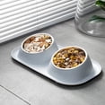 thumbnail image 2 of Elevated Slanted Stainless Steel Cat & Dog Bowls Dishes for Food and Water – Cat Food Bowl – Dog Food Bowl - Stainless Steel Dog Bowls - Pet Dish Set, Small Dog 15°Tilted Raised Food Feeding Dishes, 2 of 9