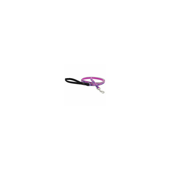 HL 1/2in Pink Paws 6ft Dog Leash