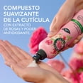 thumbnail image 4 of Crema para Peinar Suavidad y Anti-Esponjado Herbal Essences para brillo y suavidad 300 ml, 4 of 5