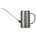 Watering Can for Indoor Outdoor Plants Garden Flower Modern Small Water