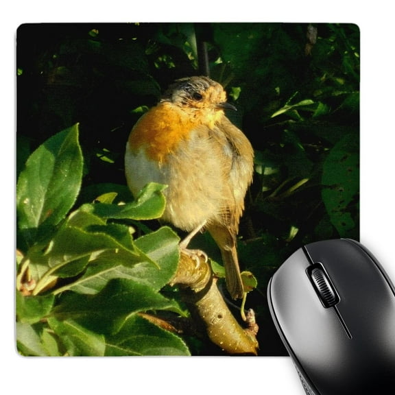 3dRose, Image of English Robin in Late Summer, MousePad