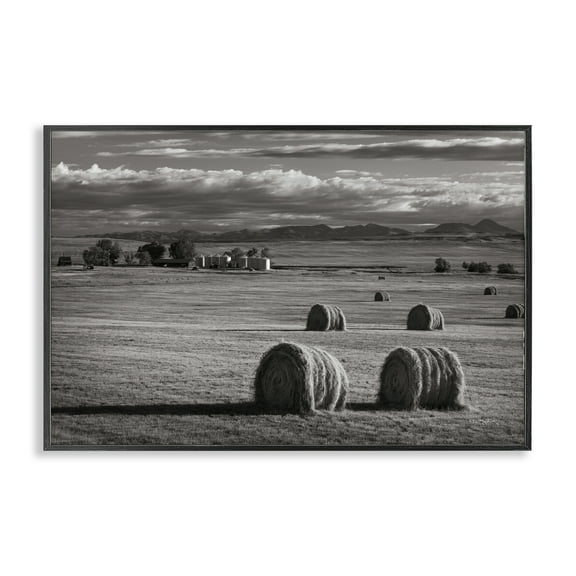 Stupell Industries Montana Hay Bales Landscape & Nature Photography Black Framed Art Print Wall Art, 18 x 12