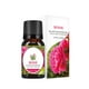 thumbnail image 1 of Maojin perfumes para caballero Oil Aromatherapy Therapeutic Grade Water Soluble Aroma 10ML, 1 of 6
