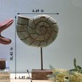 thumbnail image 4 of Figuras de estilo náutico de playa Retro hechas a mano de madera, 3 uds., estatua de estrella de mar/concha/caballito de mar, decoración del hogar Fokelyi CZJJ-ZH155, 4 of 5