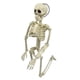 thumbnail image 5 of Figura de esqueleto modelo de Halloween, favores de fiesta al aire libre realistas de 16/24 pulgadas, 5 of 9