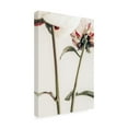thumbnail image 4 of Pictufy Studio III 'Peony 1' Canvas Art - 30 x 47 Inches, 4 of 4