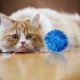 thumbnail image 4 of 20 PCS juguete interactivo del gato del brillo del juguete para los gatos Holiday Party decoraciones de Navidad 1.38, 4 of 8