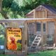 thumbnail image 3 of Placa Metal Vintage Pintura Hierro Rectangular Pollo Arte Pared Del 20x30cm, 3 of 9