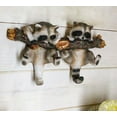 thumbnail image 6 of Forest Rustic 2 Playful Raccoons Dangling On Tree Branch 6 Pegs Wall Hook Decor, 6 of 6