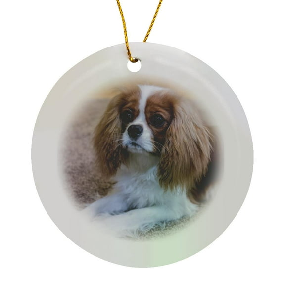 3drose, Cavalier King Charles Spaniel Puppy Reclining on the Carpet., Circle Porcelain Ornament