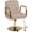 Grey, variant on KIGOTY Reclining Salon Chair with Adjustable Backrest, Heavy Duty Barber Chair with Durable Steel Frame, 360 Degrees Swivel Stylist Chair, Black