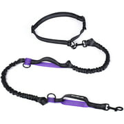 Mile High Life | Retractable Hands Free Dog 7FT Leash | Waist Running Adjustable | Reflective Dual Black Bungees | Dual Handles | Small Medium Large Dogs | (Purple )