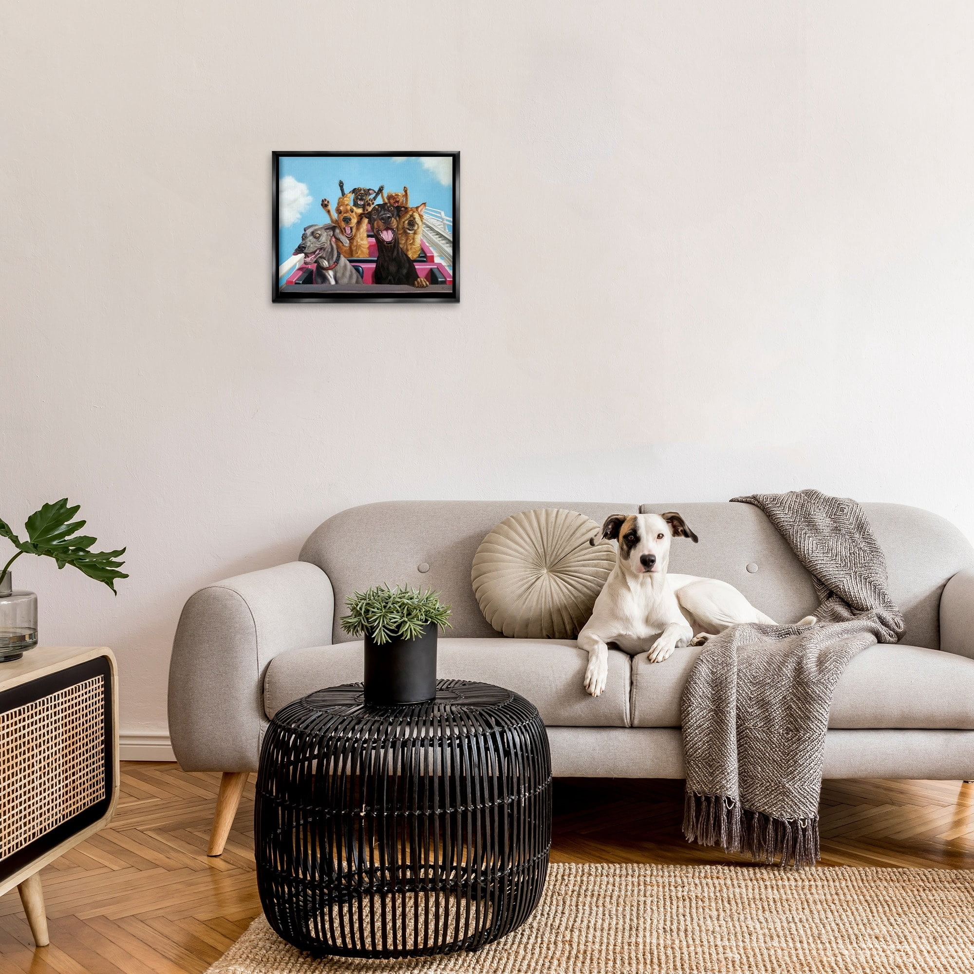 Stupell Industries Dogs Riding Roller Coaster Funny Amusement Park Jet Black Framed Floating Canvas Wall Art, 16x20, by Lucia Heffernan