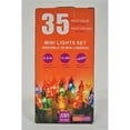thumbnail image 1 of 35 Lt Indoor/Outdoor Mini Light Set (Multi Bulbs) - Set of 2, 1 of 1