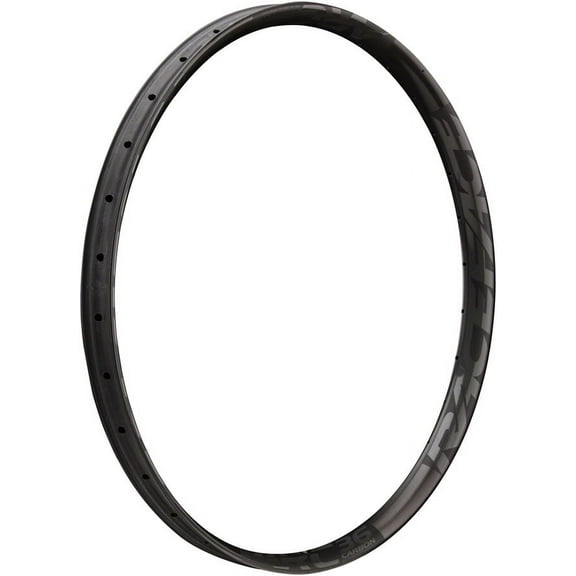 RaceFace Arc 36 Rim - 29", Disc, Black, 32H, Offset