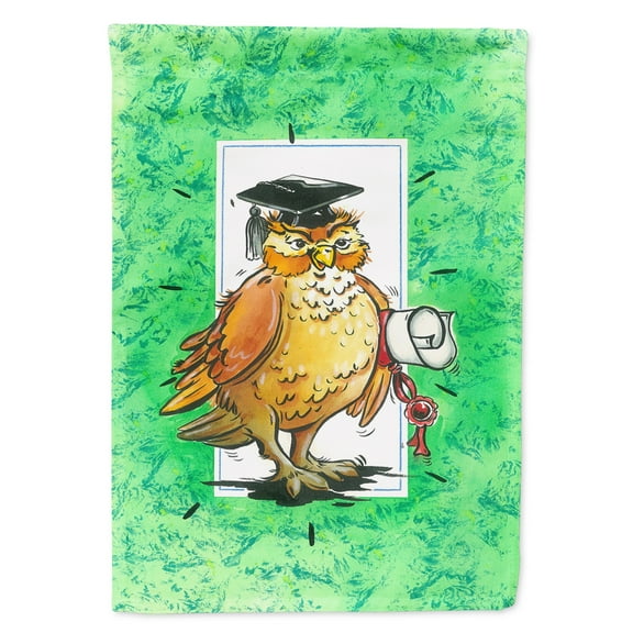 Carolines Treasures APH8469CHF Graduation The Wise Owl Flag Canvas House Size , Large, multicolor