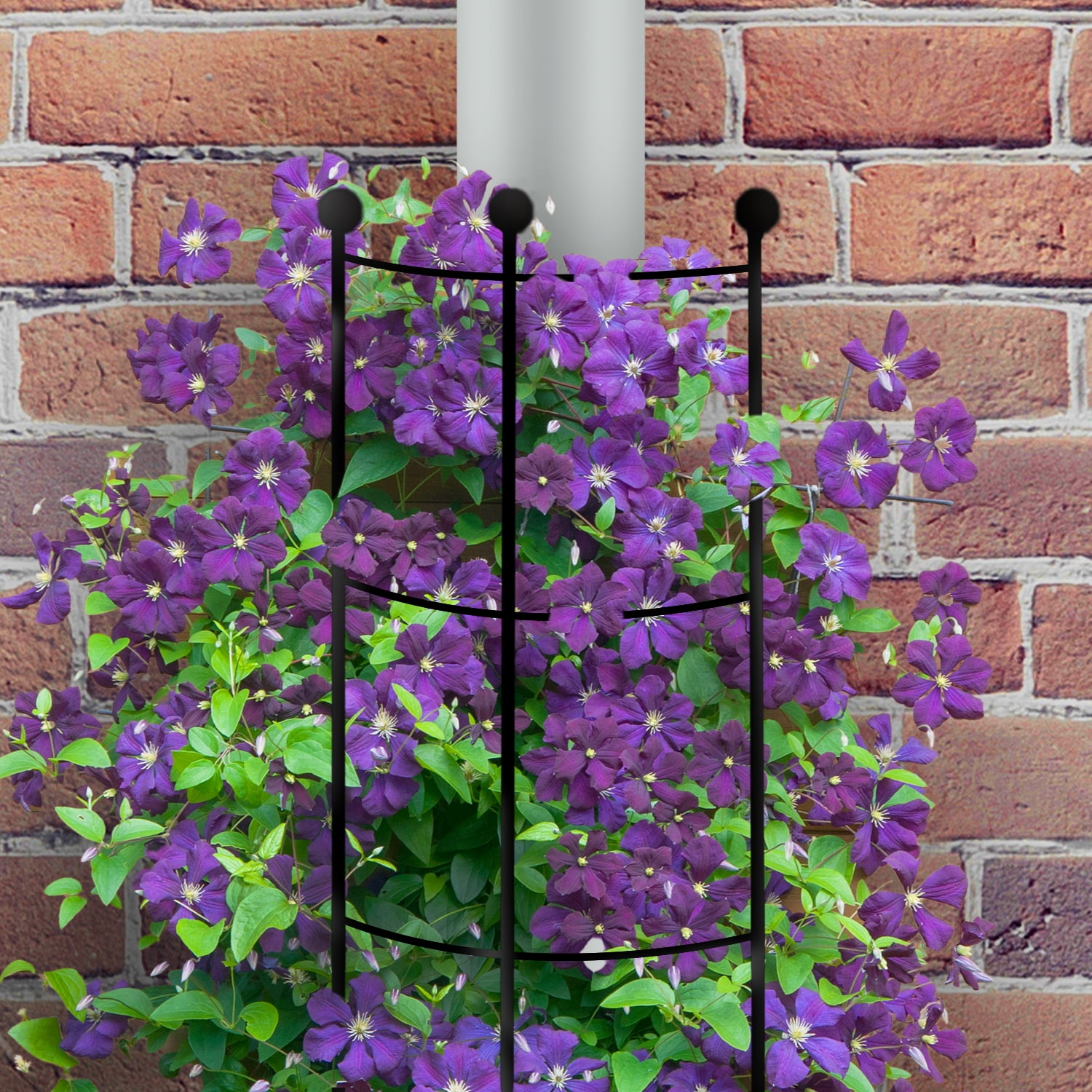 Expert Gardener 33in Half Round Ladder Trellis Support