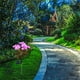 thumbnail image 5 of Luces solares LED de 7 cabezales para jardín de rosas | Iluminación decorativa impermeable de plástico para caminos de jardín | Lámpara solar de flores de bajo consumo con encendido y apagado, 5 of 6
