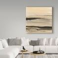 thumbnail image 3 of Trademark Fine Art 'Gilded Surf' Canvas Art by Chris Paschke, 3 of 3