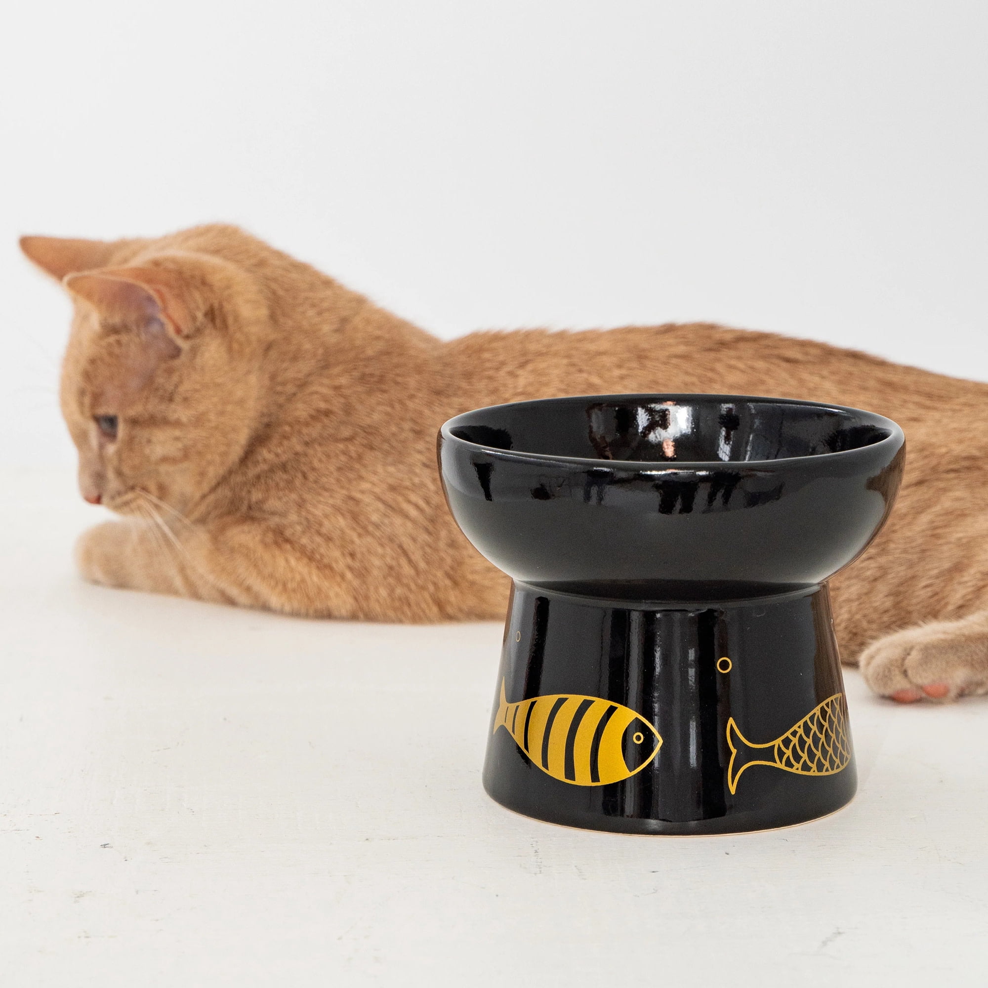 Dexypaws: Elevated Ceramic Cat Bowl - Black & Gold Fish - 7oz - Pet Feeding Dish, Meals, Food & Water, Ergonomic Height, Stylish, Shallow & Raised