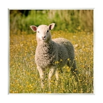 Stupell Industries Alert Baby Lamb Gazing Yellow Wild Flower Blossoms Photograph Unframed Art Print Wall Art, Design by Daphne Polselli