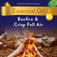Air Wick Essential Mist Refill, 1 ct, Bonfire & Crisp Fall Air