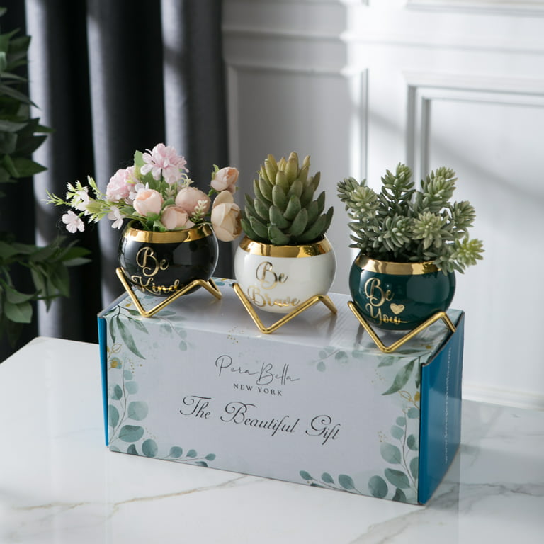 Perabella Inspirational Gifts for Women, Motivational Spiritual Gifts for  Female Friends-3 Succulent Pots