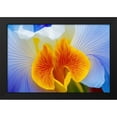 thumbnail image 2 of Stephen Chambers 18x13 Black Modern Wood Framed Wall Art Titled - Flower21, 2 of 6