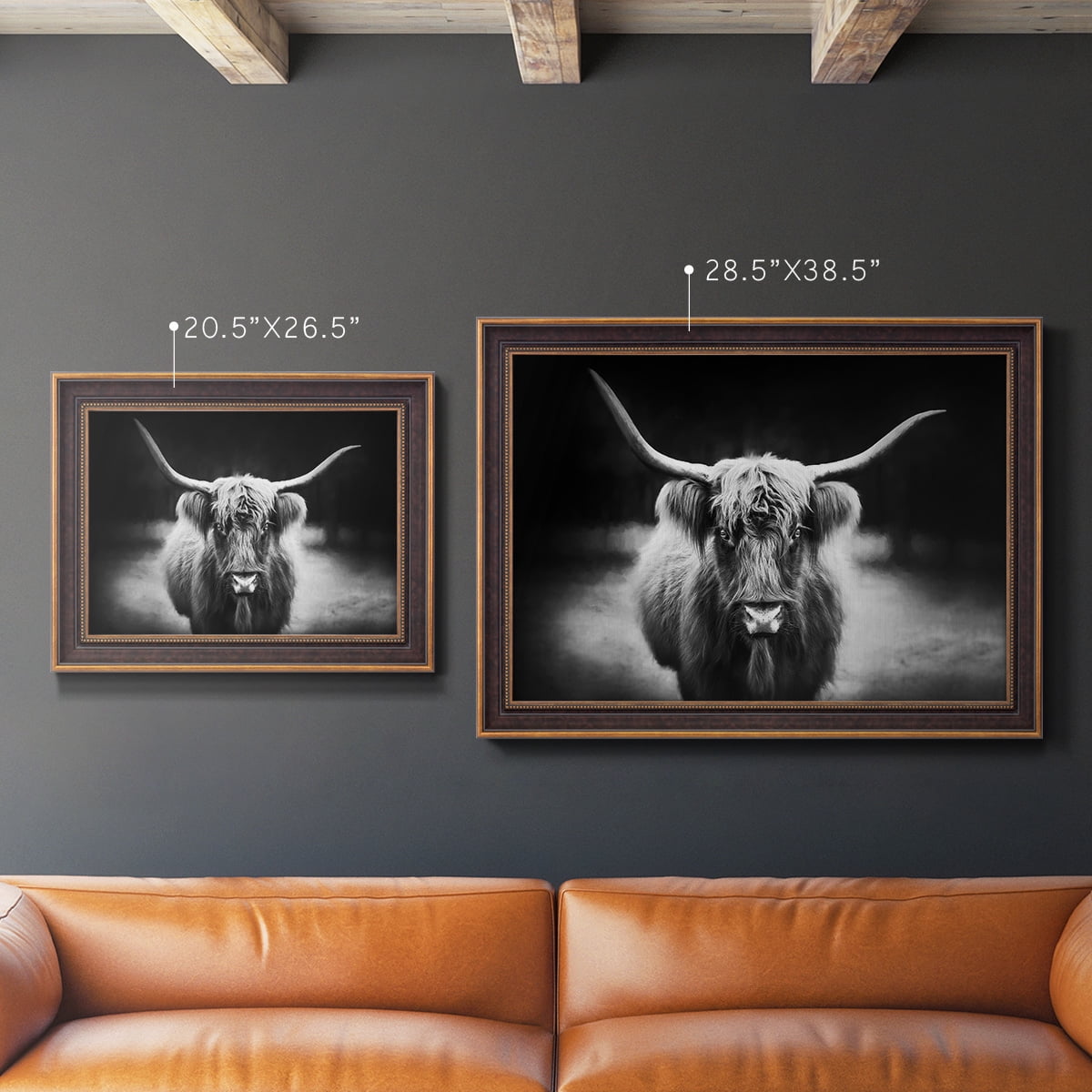 Photography Study Highland Cattle Premium Framed Canvas- Ready to Hang