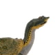 thumbnail image 4 of Modelo de Simulación Hugo Juegos Educativos Decoración para Hogar de Plástico Real Juguete de figura animal, 4 of 8