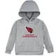 thumbnail image 1 of Gerber Nfl Sudadera Con Capucha De Forro Polar Para Niños Pequeños Arizona Cardinals 5T, 1 of 1