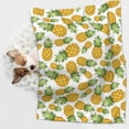 thumbnail image 6 of Naloa Pineapple Dog Blanket, 3 Sizes Cat Blanket for Indoor Cats Large Medium Small Dog Gifts-Large, 6 of 8