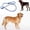 Color, variant on Vikakiooze Promotion on Sale! Pet Supplies Dog Leash, Durable Rope Slip Collar Extremely Comfortable Handle No-pull PetTraining Leash for Medium and Large Dogs
