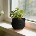 thumbnail image 4 of VAIFTILNO Pig Planter Pot, Cute Succulents Pot with Drainage Hole for Indoor, Outdoor Plants, Home Decor Gift (More Colors), 4 of 6