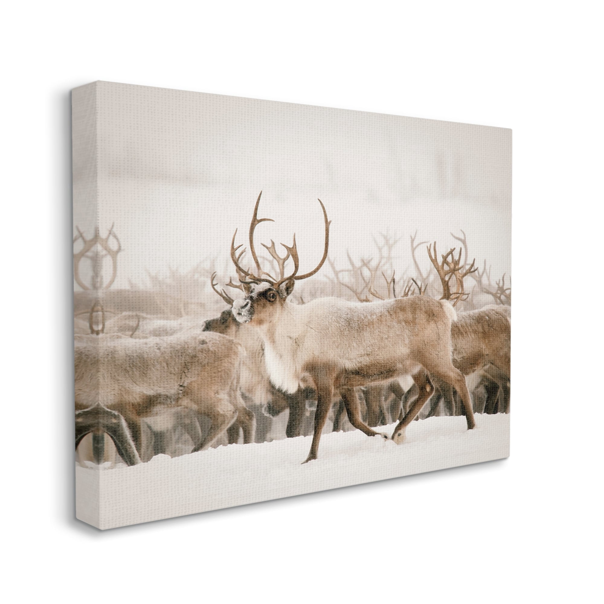 Stupell Elk Herd Snowy Winter Scene Animals & Insects Photography Gallery Wrapped Canvas Print Wall Art
