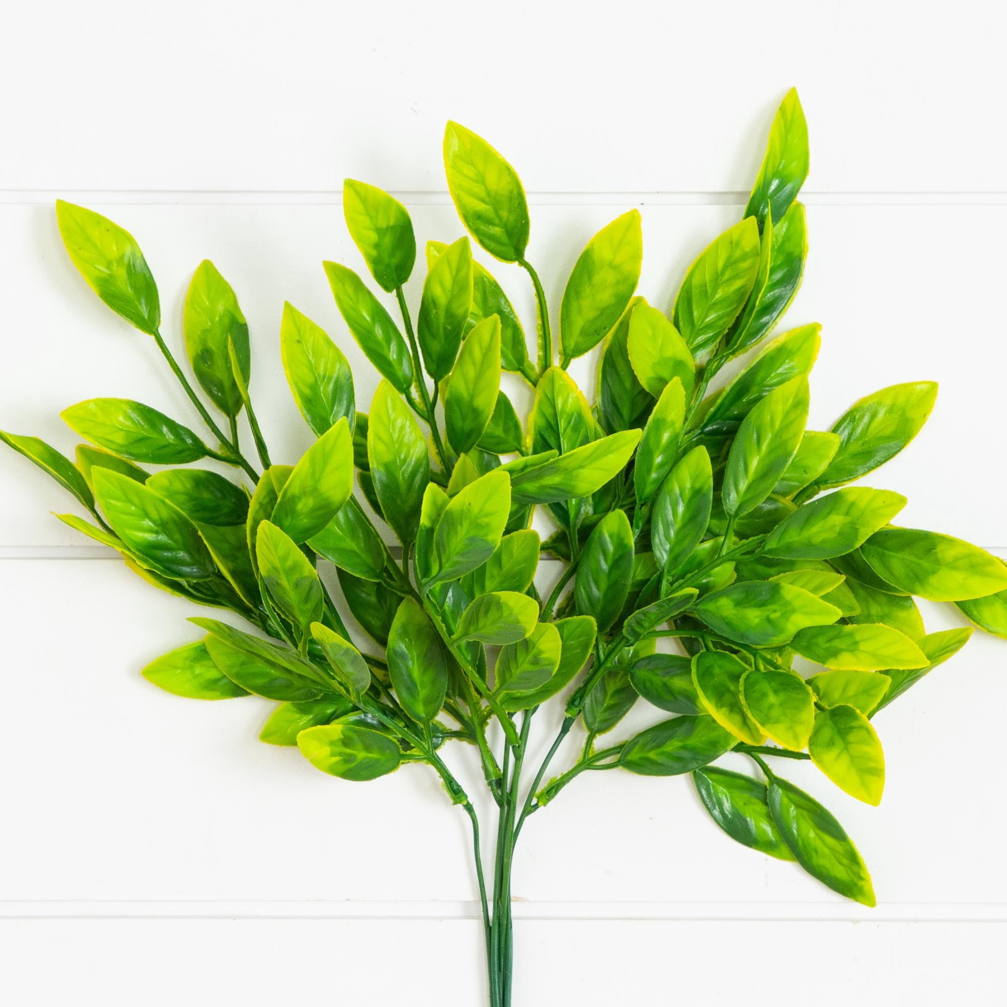 16in. UV Resistant Artificial Ruscus Bush (Indoor/Outdoor) - Set of 6