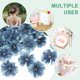 thumbnail image 4 of Uxcell 50 Paquete Cabezas de Flores Artificiales Cabeza de Ciruelo de Seda Falsa Azul, 4 of 7