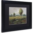 thumbnail image 2 of Trademark Fine Art "Lonely Tree" Canvas Art by Daniel Moises, Black Matte, Black Frame, 2 of 4