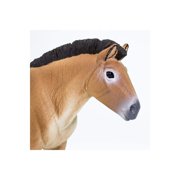 Safari Ltd. Przewalski's Horse Figurine - Lifelike 5 Horse Figure - Educational Toy for Boys, Girls, and Kids Ages 3+